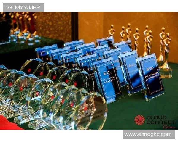 武汉羽毛球队的辉煌征程与突破时刻全景纪实