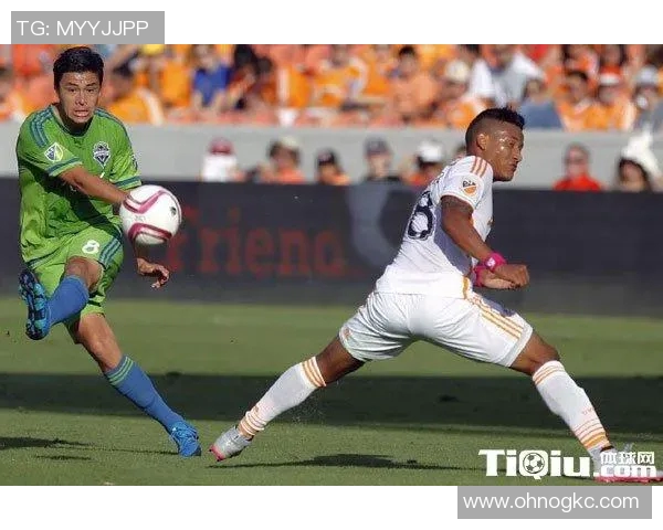 深圳攀岩队在马拉松大满贯中的速度表现分析与点评